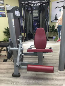 舒华健身器材 家庭健身的专业之选